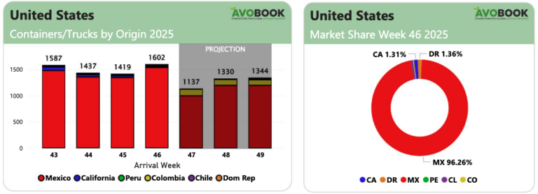 avocado market week 47